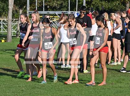 Thumbnail 2 in UIL Cross Country 5A Finals (5K) photogallery.