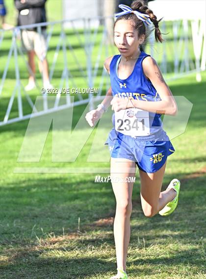 Thumbnail 1 in UIL Cross Country 5A Finals (5K) photogallery.