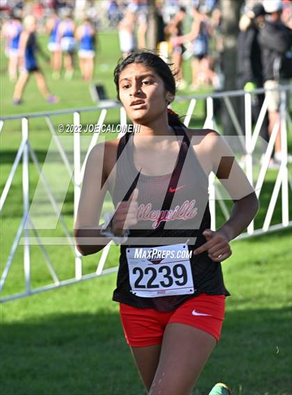 Thumbnail 2 in UIL Cross Country 5A Finals (5K) photogallery.