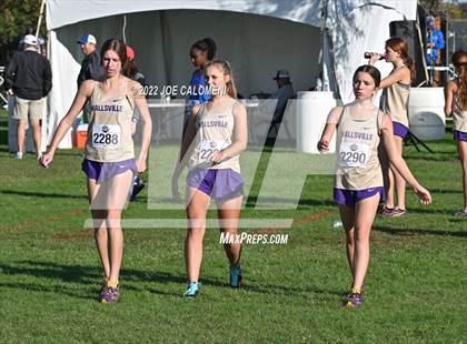 Thumbnail 3 in UIL Cross Country 5A Finals (5K) photogallery.