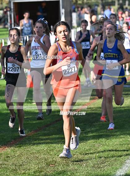 Thumbnail 3 in UIL Cross Country 5A Finals (5K) photogallery.