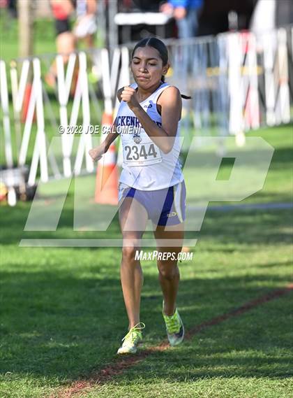 Thumbnail 1 in UIL Cross Country 5A Finals (5K) photogallery.