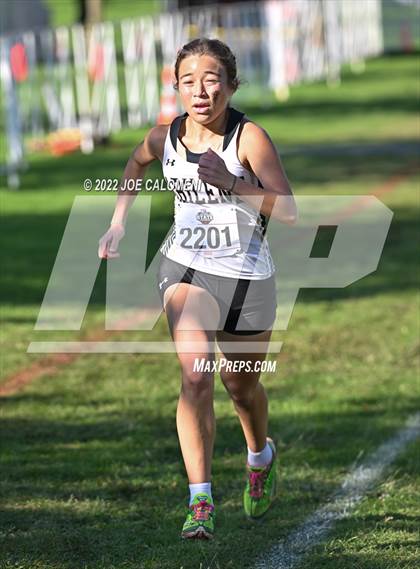 Thumbnail 2 in UIL Cross Country 5A Finals (5K) photogallery.