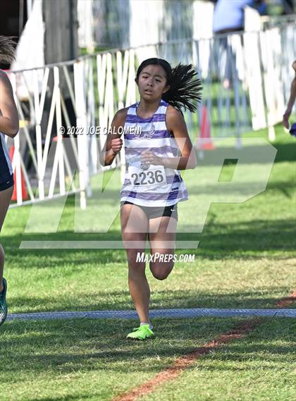 Thumbnail 1 in UIL Cross Country 5A Finals (5K) photogallery.