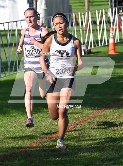Thumbnail 1 in UIL Cross Country 5A Finals (5K) photogallery.