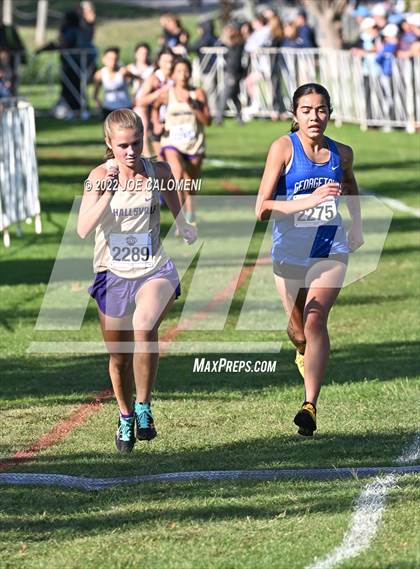 Thumbnail 2 in UIL Cross Country 5A Finals (5K) photogallery.