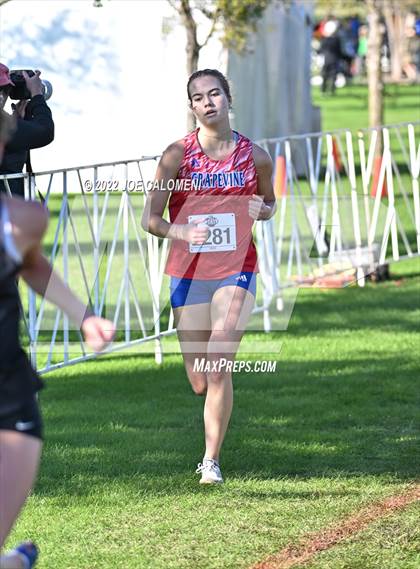 Thumbnail 1 in UIL Cross Country 5A Finals (5K) photogallery.
