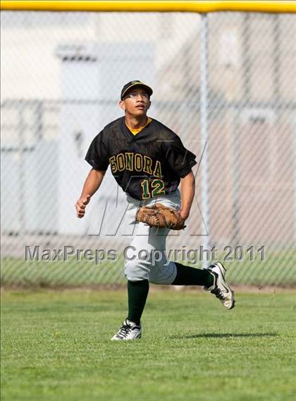 Thumbnail 1 in Sonora @ Manteca photogallery.