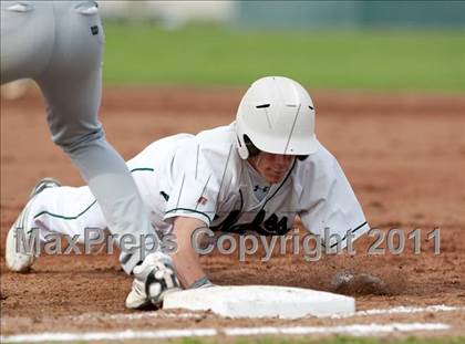 Thumbnail 1 in Sonora @ Manteca photogallery.