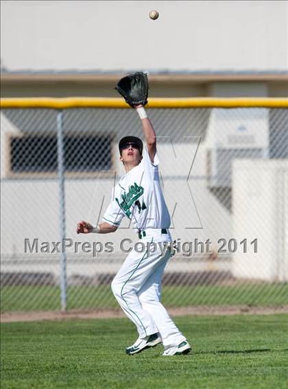 Thumbnail 2 in Sonora @ Manteca photogallery.