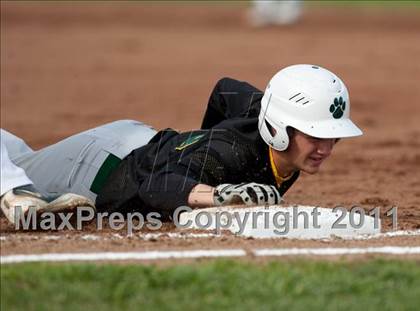 Thumbnail 1 in Sonora @ Manteca photogallery.