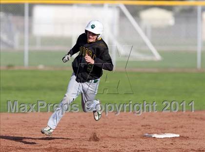 Thumbnail 1 in Sonora @ Manteca photogallery.