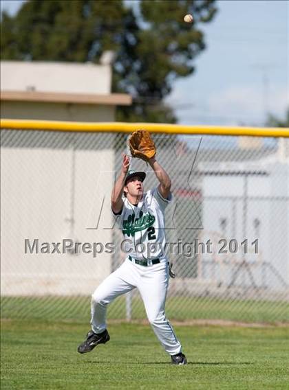 Thumbnail 3 in Sonora @ Manteca photogallery.