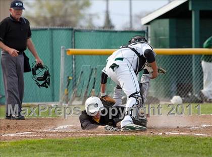Thumbnail 1 in Sonora @ Manteca photogallery.