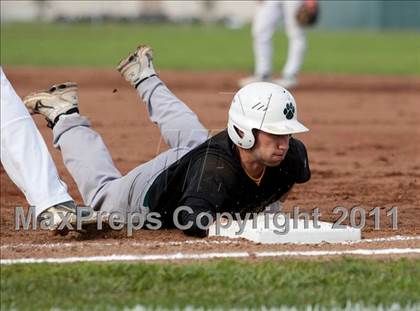 Thumbnail 1 in Sonora @ Manteca photogallery.