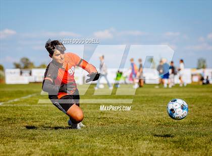 Thumbnail 2 in Bloomfield @ Piedra Vista photogallery.