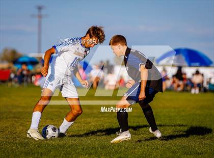 Thumbnail 1 in Bloomfield @ Piedra Vista photogallery.