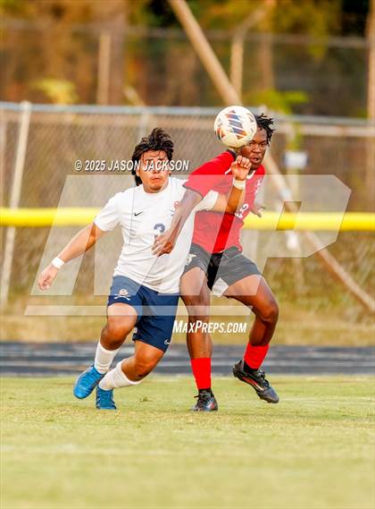 Thumbnail 1 in Southern Lee @ Hoke County photogallery.