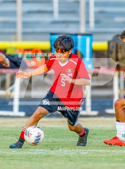 Thumbnail 1 in Southern Lee @ Hoke County photogallery.