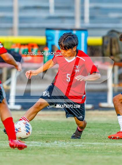 Thumbnail 3 in Southern Lee @ Hoke County photogallery.