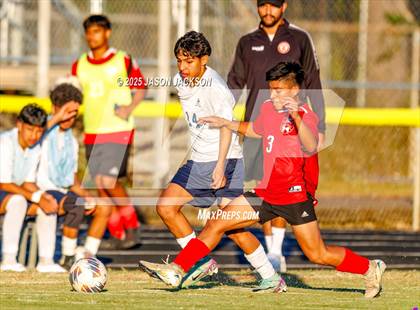 Thumbnail 2 in Southern Lee @ Hoke County photogallery.