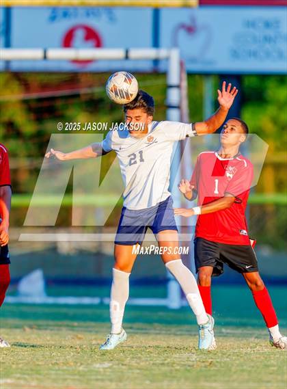 Thumbnail 1 in Southern Lee @ Hoke County photogallery.