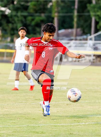 Thumbnail 2 in Southern Lee @ Hoke County photogallery.