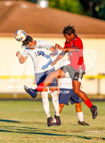 Thumbnail 1 in Southern Lee @ Hoke County photogallery.