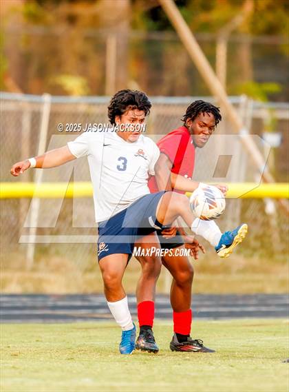 Thumbnail 2 in Southern Lee @ Hoke County photogallery.