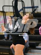 Photo from the gallery "Mira Loma @ Pioneer"