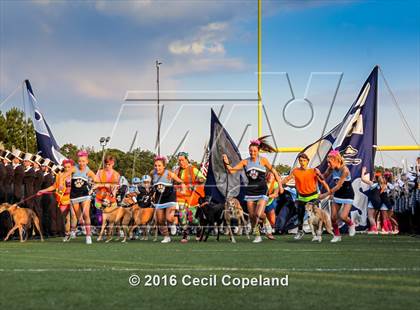 Thumbnail 3 in Lassiter @ Pope photogallery.