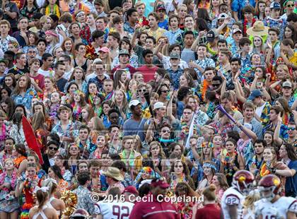 Thumbnail 2 in Lassiter @ Pope photogallery.