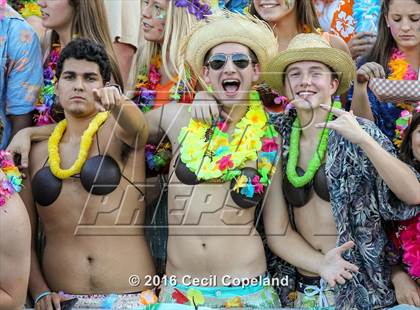 Thumbnail 3 in Lassiter @ Pope photogallery.