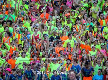 Thumbnail 3 in Lassiter @ Pope photogallery.
