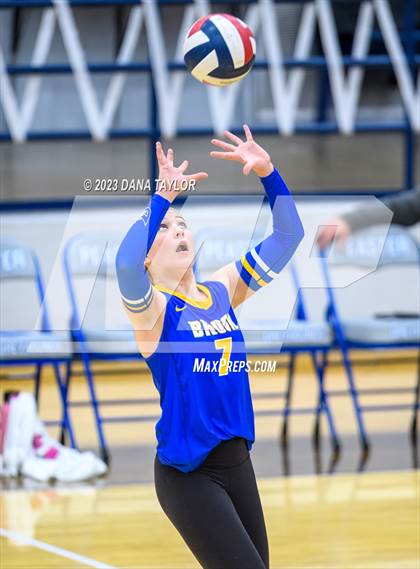 Thumbnail 1 in Brock @ Peaster photogallery.
