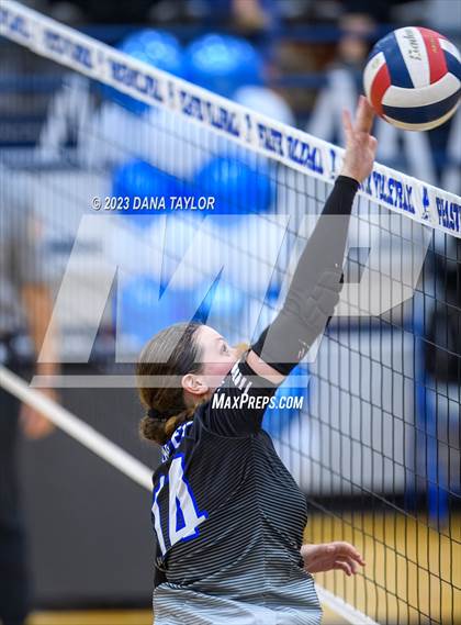 Thumbnail 1 in Brock @ Peaster photogallery.