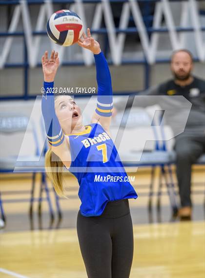 Thumbnail 1 in Brock @ Peaster photogallery.