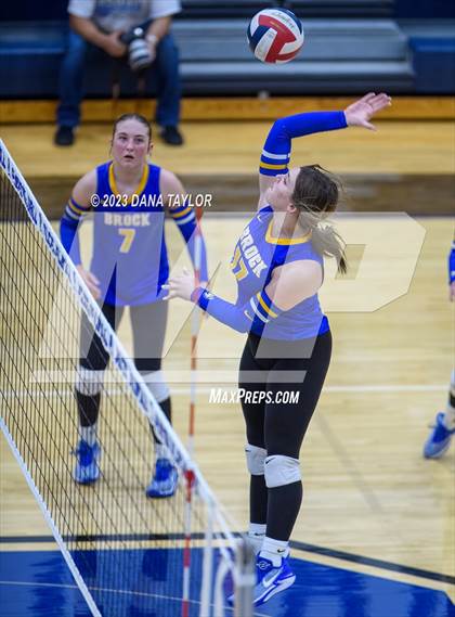 Thumbnail 1 in Brock @ Peaster photogallery.