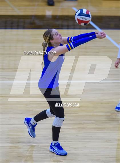 Thumbnail 1 in Brock @ Peaster photogallery.