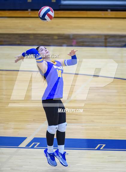 Thumbnail 2 in Brock @ Peaster photogallery.
