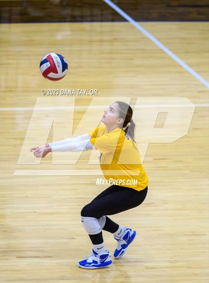 Thumbnail 3 in Brock @ Peaster photogallery.