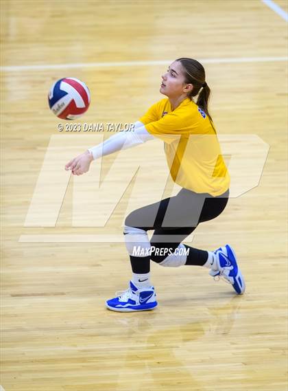 Thumbnail 2 in Brock @ Peaster photogallery.