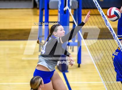 Thumbnail 1 in Brock @ Peaster photogallery.