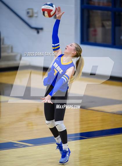 Thumbnail 3 in Brock @ Peaster photogallery.