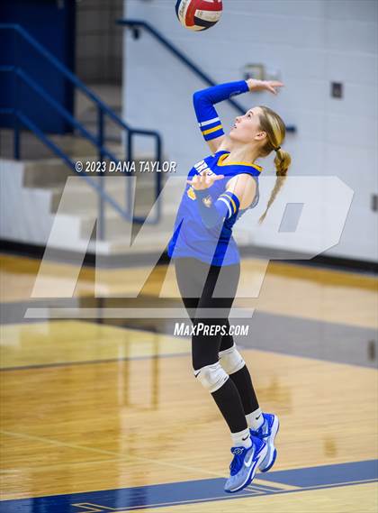 Thumbnail 1 in Brock @ Peaster photogallery.