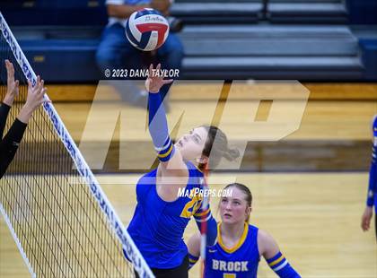 Thumbnail 3 in Brock @ Peaster photogallery.