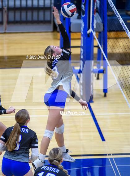 Thumbnail 1 in Brock @ Peaster photogallery.