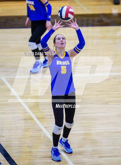 Thumbnail 3 in Brock @ Peaster photogallery.