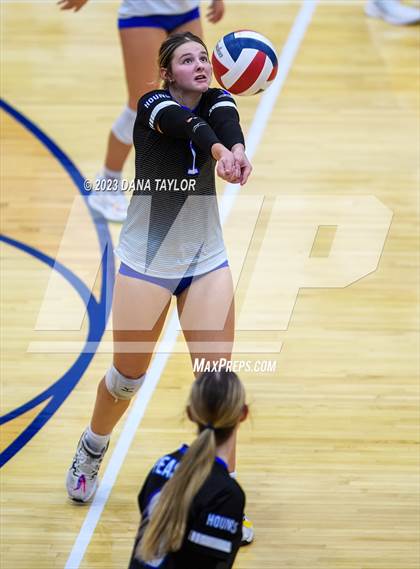 Thumbnail 3 in Brock @ Peaster photogallery.