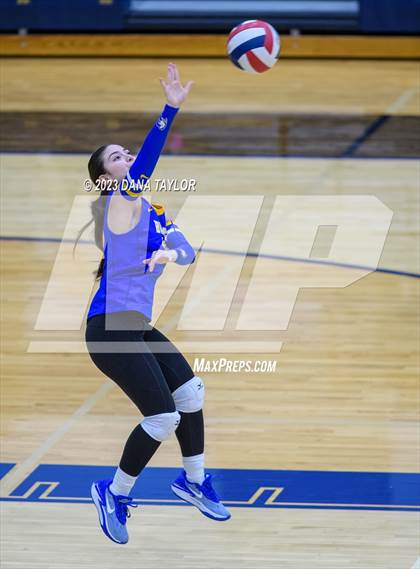 Thumbnail 3 in Brock @ Peaster photogallery.